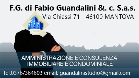 F.G. di Fabio Guandalini &. c. S.a.s.